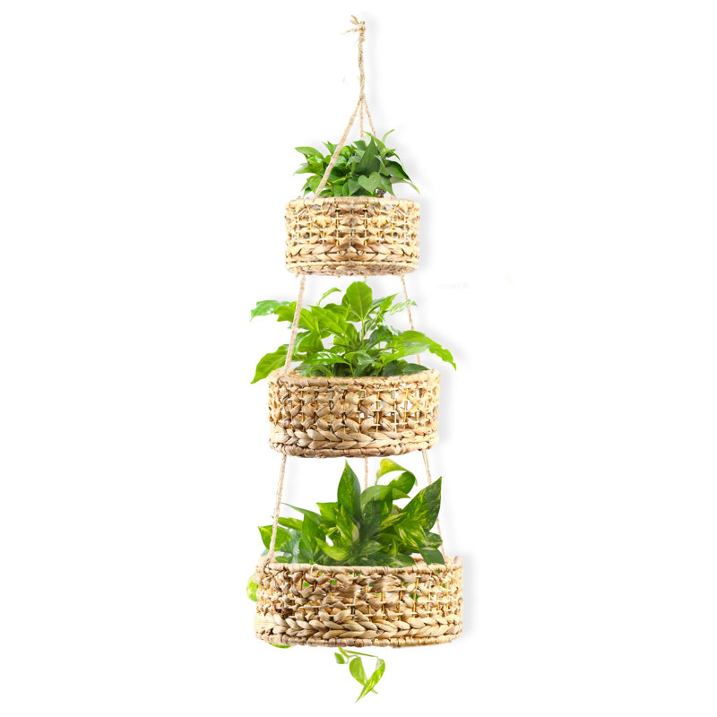 Bayou Breeze Wicker Decorative Basket