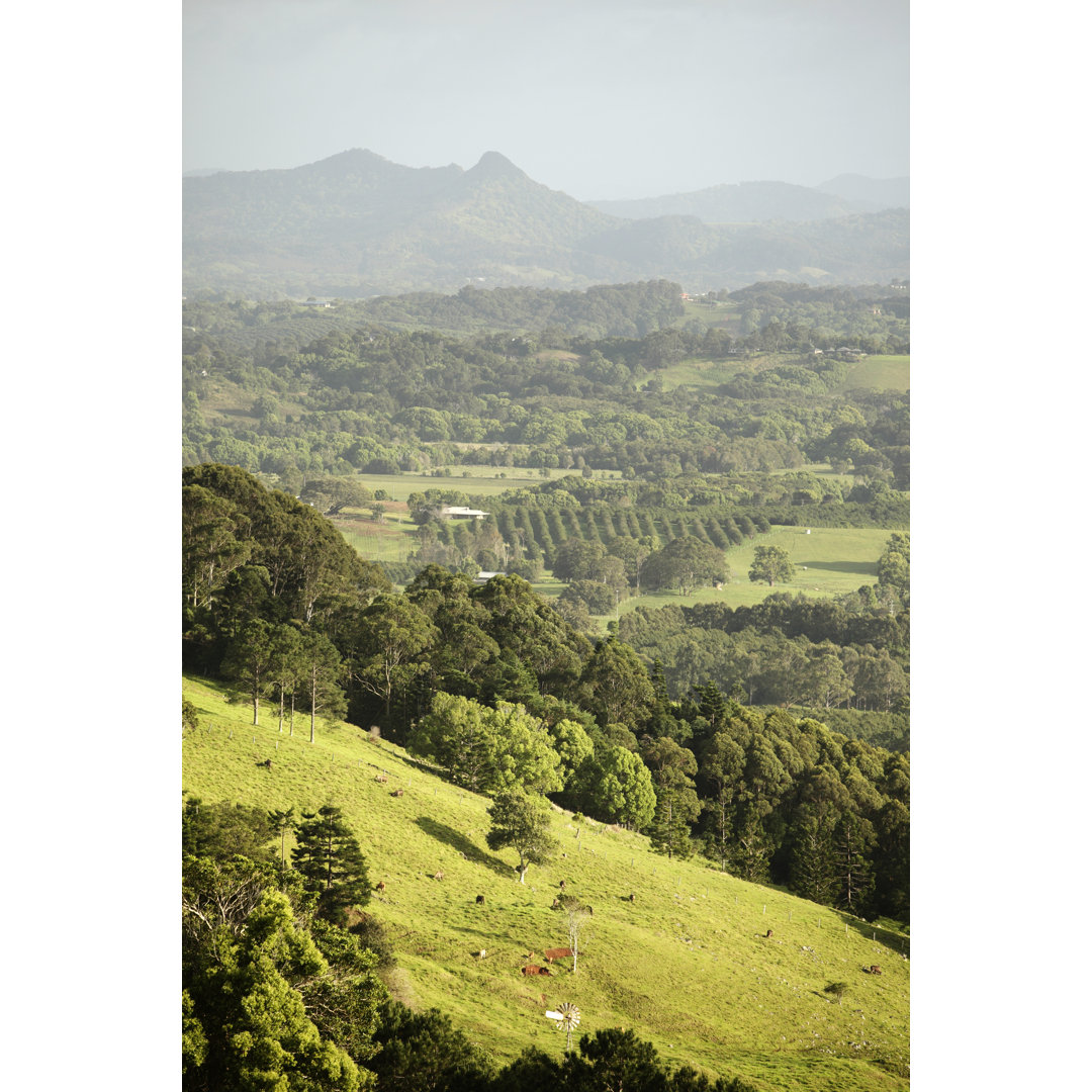 Byron Bay Hinterland von Davidf - Druck auf Leinwand ohne Rahmen