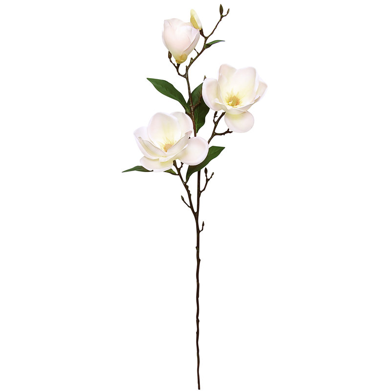 Tige de magnolia
