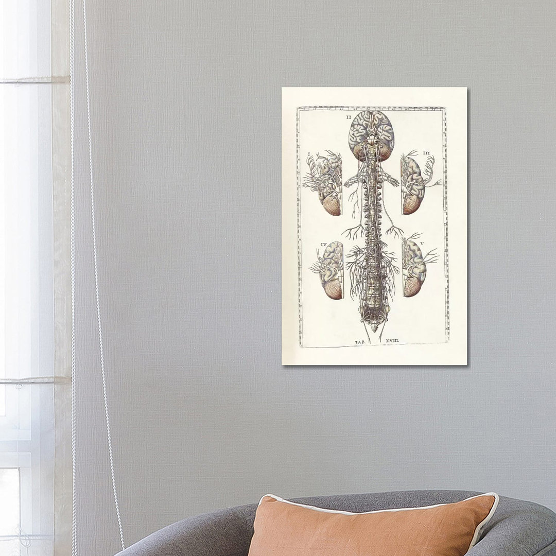 " The Science Of Human Anatomy III " by National Library Of Medicine East Urban Home 