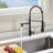 Topcraft Single Handle Pull Down Kitchen Faucet
