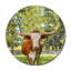 Long Horn Print-23528017