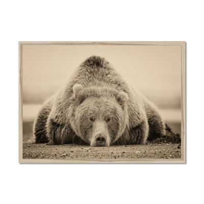 Deep Sleep 1 Piece Wall Art