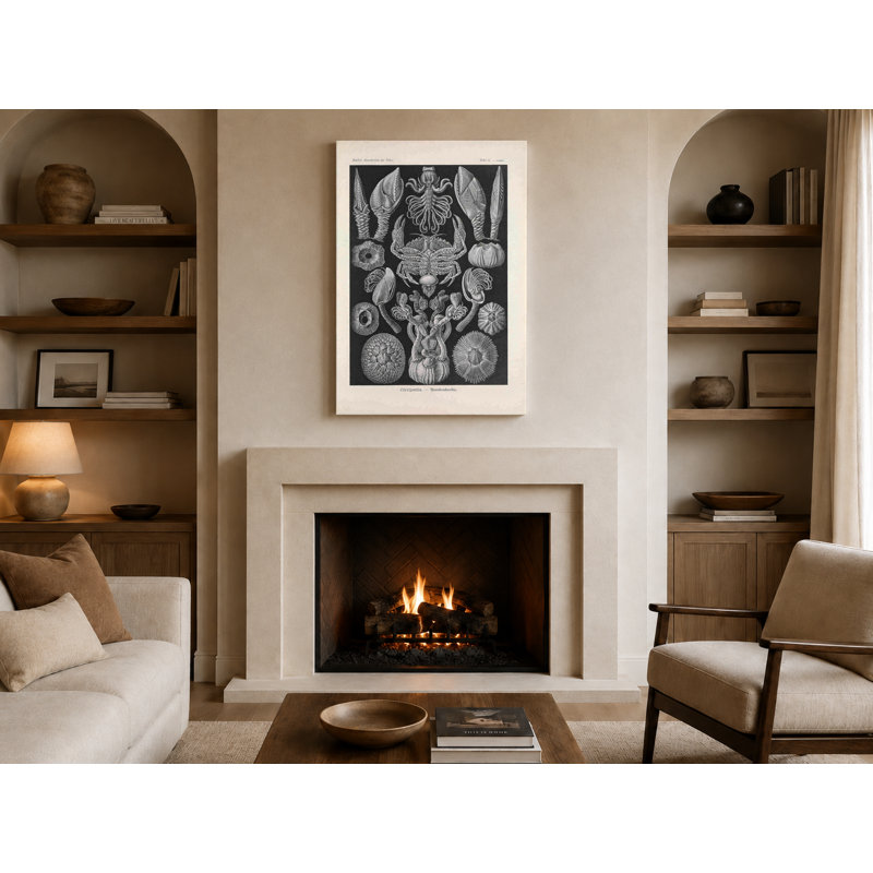 Art mural, Tafel 57 - Cirripedia (1904) - Art mural sur toile, 30" W x 20" H