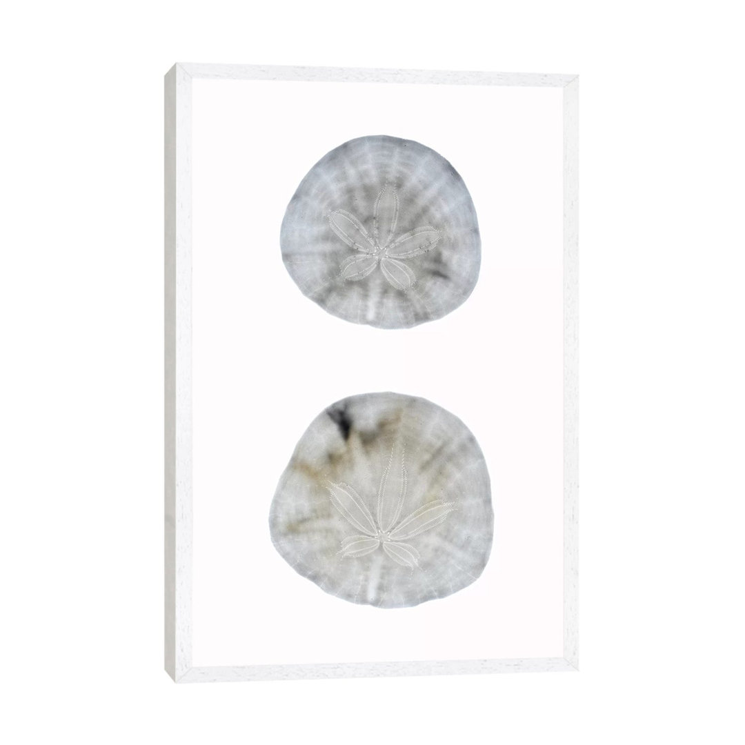 Silhouette Sand Dollars