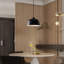- Light Pendant