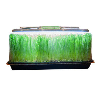 Viagrow Grow Light