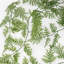 81cm Faux Fern Plant in Pot
