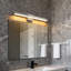 Luminaire en nickel brossé pour salle de bain de 24,4 po Jooserhouse, barre d'éclairage à intensité variable 5CCT avec diffuseur givré, miroir mural moderne pour meuble-lavabo