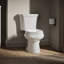 Wellworth™ 1.6 GPF Round Two-Piece Toilet (Seat Not Included)-101431820-10397122