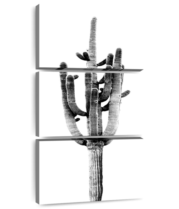 Saguaro Black II, 32" H x 15" W