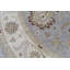 Hand Woven Wool Oriental Area Rug