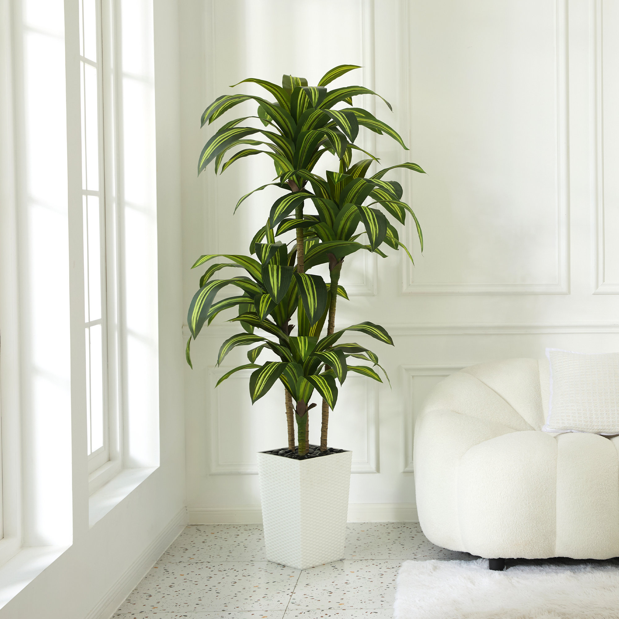 Almina UV Resistant Artificial Yellow Dracaena Tree, Faux Tree with Large Base for Indoor Outdoor, 72" H x 24" W x 24" D