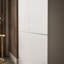 2 Door Wardrobe-1915875359