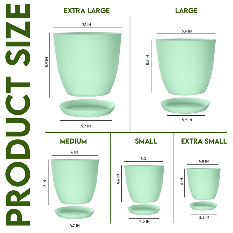 Pots à plantes d'intérieur avec drainage, Menthe