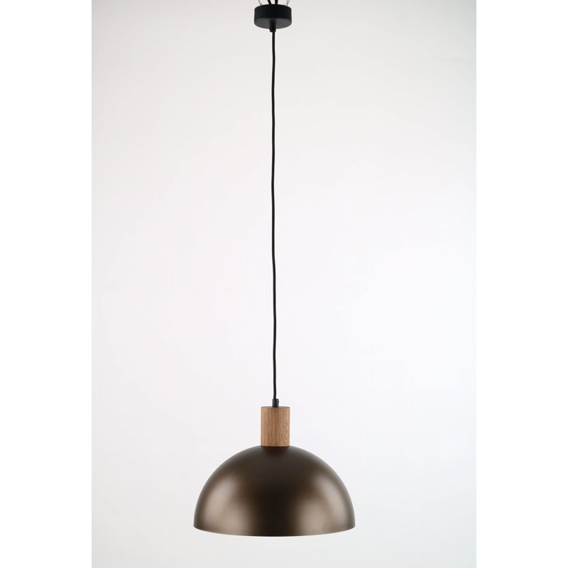 Matthei 1 - Light Stainless Steel Dome Pendant, Brown