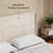 Bettyjean Wingback Platform Bed: Wood & Metal Frame + Underbed Storage-255304044-231983455