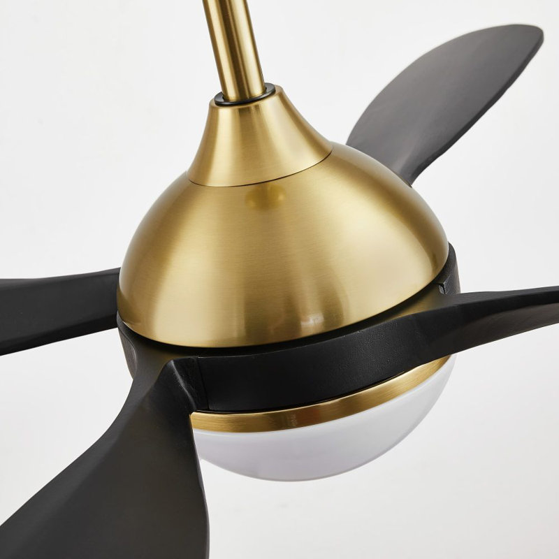 Ventilateur de plafond 54 pouces 4 pales standard Smart, Noir et or