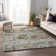 Premium Machine Washable Driessen AMF66 Moody Rug