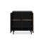 Selvin Modern Storage Unit Accent Chest