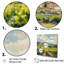 «Vineyard Charm Landscape IV - Vineyard», reproduction d'art sur toile encadrée-97047227-97047228