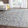 Everlee Geometric Cotton Hand Woven Area Rug