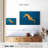 Brampt Short Snouted Seahorse-107834230
