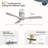 Sofucor Rachel 52'' 3-Solid Wood Blade Flush Mount Classic Ceiling Fan no Lights-670831648-608332668