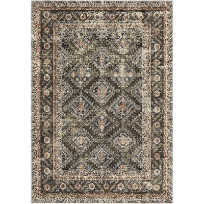 Area RugsWashable Rugs for Living RoomVintage Boho for OfficeDining RoomKids Room and FarmhouseDurable Low Pile Non-Slip Area Rug 