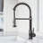 Edison 19" H 1-handle Pull-Down 2-Function Sprayer Kitchen Faucet-25293738-28294597