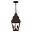 Lanterne suspendue d'extérieur 2 lumières H 17 po Acadia-481127709