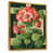 Toile avec cadre flottant or sélectionné
