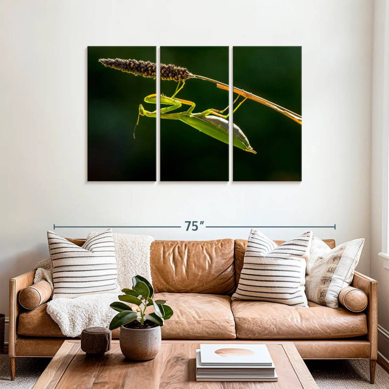 Hanging Praying Mantis, 36" H x 57" W