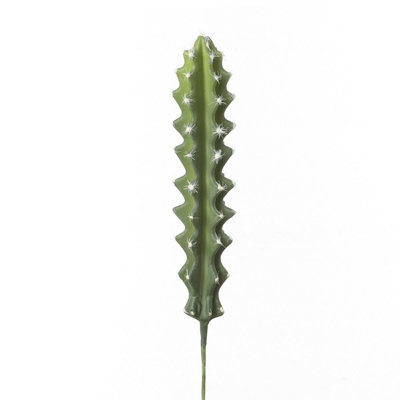 Tige de cactus