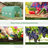 Hobby Greenhouse-98347272-119307528