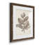 Antique sépia botanicals V - ensemble de 2 reproductions d'art sur papier encadré-1612667911-1612667904