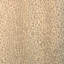 Safari Warp Print-945022494
