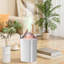 Humidificateur coloré pour petits brouillards-130174591