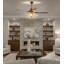 Chicago 48'' Ceiling Fan with Light Kit