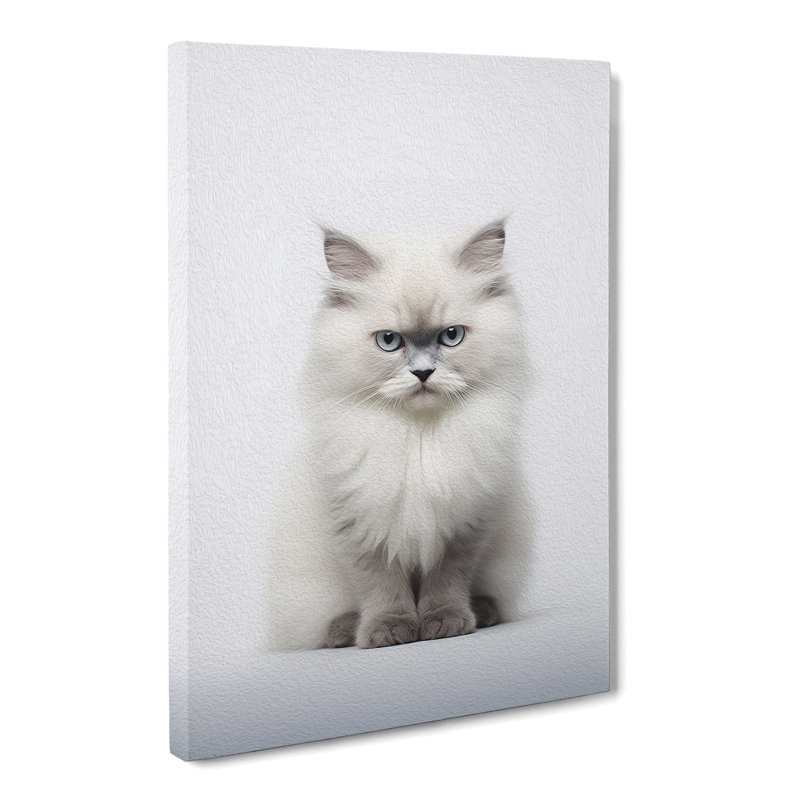Ragdoll Cat Minimalism No.2 - Print, 60cm H x 40cm W x 3cm D