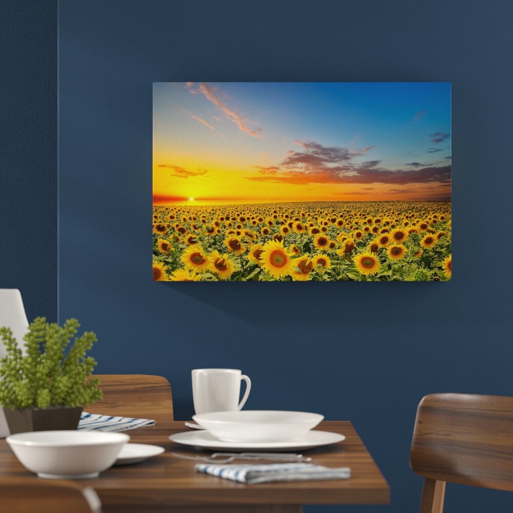 Leinwandbild „Sonnenuntergang am Sonnenblumenfeld", Fotodruck