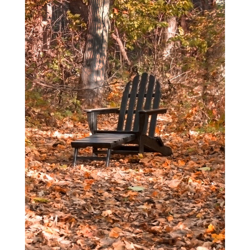 Chaise Adirondack d'extérieur en PEHD Classics, Noir