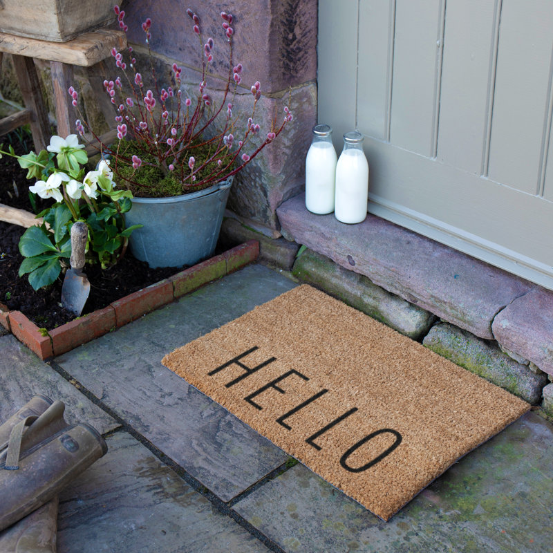 Non-Slip Indoor Doormat