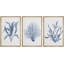 Feuille de plante bleue 3 pièces-91874805-91874806
