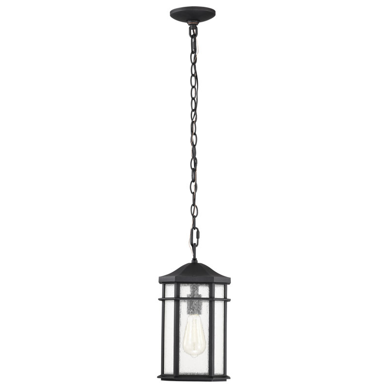 Lanterne suspendue d'extérieur - 1 lumière - Noir mat - Verre transparent