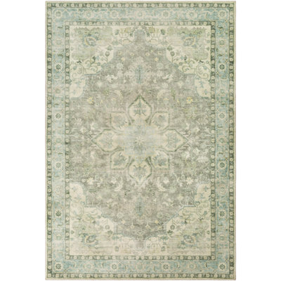 Oriental Indoor Rug