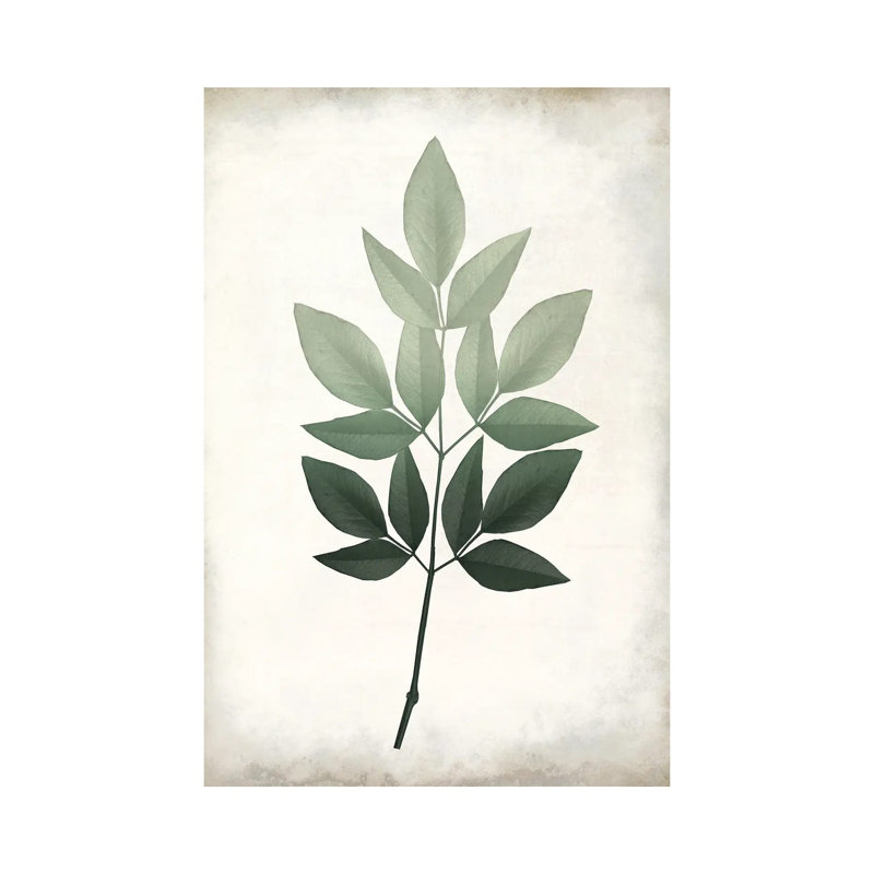 Vintage Botanical Greens I by Kimberly Allen - Wrapped Canvas Print, 20.32 cm H x 30.48 cm W