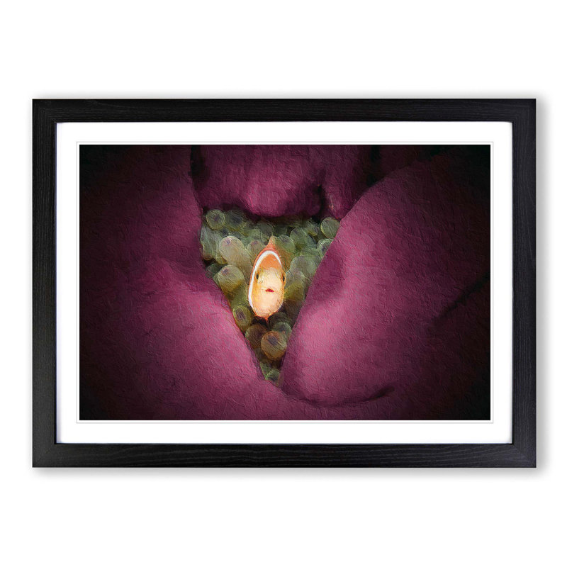 Clownfish & Sea Anemone - Picture Frame Painting, 48cm H x 65cm W x 2cm D, Black Framed