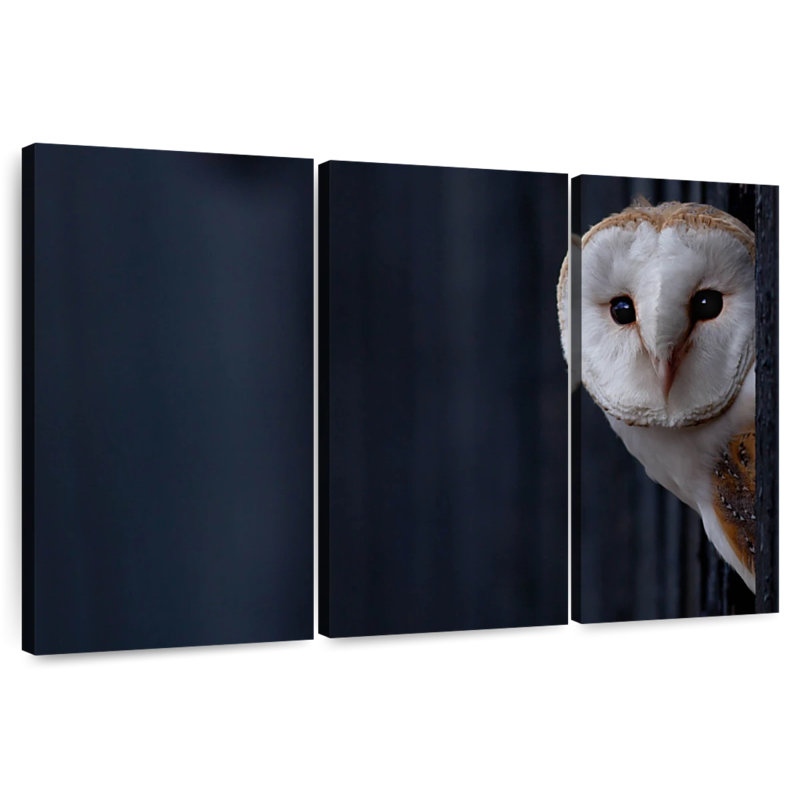 Owl Peering Out, 36" H x 57" W