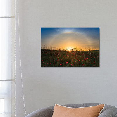 Red Poppies And Sunrise by Hua Zhu - Wrapped Canvas Print
